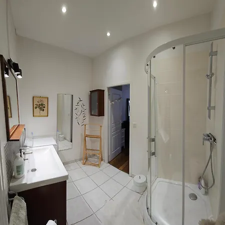 Le Pasteur Apartment Dijon